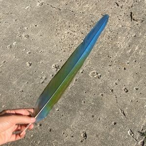 Macaw Parrot Tail Feather